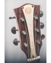 CALVIN Sang PRO TOP CS-T120